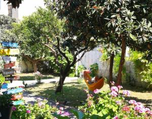 莱切Urban Oasis Hostel的花园里的吊床,种有树木和鲜花