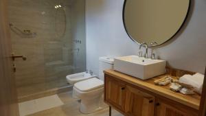门多萨718 Rufino Petit Hotel的一间带卫生间、水槽和镜子的浴室