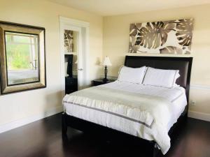 SaanichtonSaanichton Waterfront 2BR suite with superb views的一间卧室配有一张大床和镜子