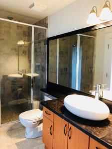 SaanichtonSaanichton Waterfront 2BR suite with superb views的浴室配有白色水槽和卫生间。