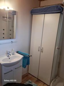 索姆勒兹L'Ard'Heure D'Avance的浴室配有盥洗盆和带镜子的淋浴