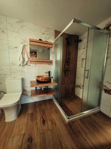 乌罗舍瓦茨Dawn Villas的浴室配有卫生间、淋浴和盥洗盆。