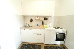 波德戈里察Forest Apartment的白色的厨房设有水槽和炉灶。