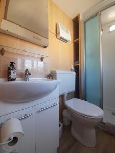 维尔豪特Holiday in Holland - no workmen only holiday makers的浴室配有白色卫生间和盥洗盆。