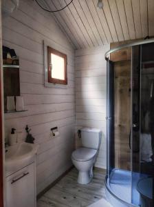 下乌斯奇基Bojkolandia的浴室配有卫生间、盥洗盆和淋浴。