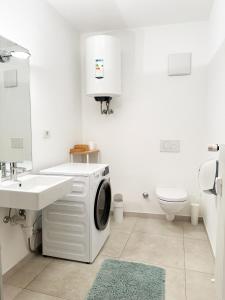 博尔扎诺Lafri Apartment的白色的浴室内配有洗衣机。