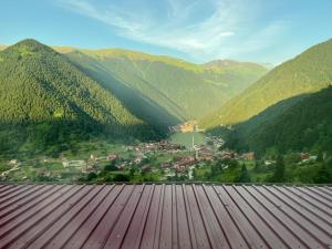 乌宗Kar Hotel Uzungöl的从屋顶上可欣赏到山谷的景色