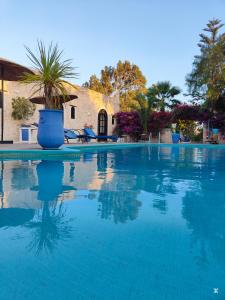 索维拉Riad Eucalyptus by Caravanserail的一座大型蓝色游泳池,后面有一座房子