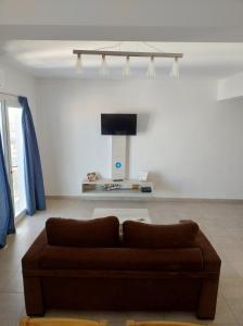 特雷利乌Vistas Meseta Patagónica II的客厅配有棕色沙发和平面电视