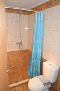 PhanaesTo Akrogiali的浴室配有蓝色的浴帘和卫生间