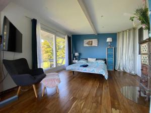 贝尔蒙叙尔洛桑Petite maison à l'orée des bois vue magnifique sur le lac zenitude et plénitude的卧室拥有蓝色的墙壁,配有一张床和椅子