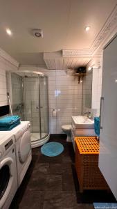 GratangenNorwegian Dream的一间带洗衣机和水槽的浴室