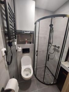 伊赫拉瓦Apartmány Lucie的一间带卫生间和淋浴的小浴室
