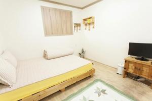 全州市Danaharu Guesthouse的一间卧室配有一张床和一台平面电视