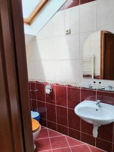 豪伊杜索博斯洛玫瑰花园酒店的一间带水槽和卫生间的浴室