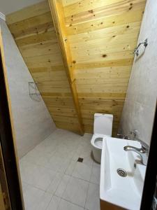 盖贝莱Qafqaz house的一间带卫生间和水槽的浴室