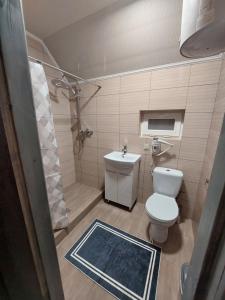 沃罗赫塔Котедж у Ліску 2的浴室配有卫生间、淋浴和盥洗盆。