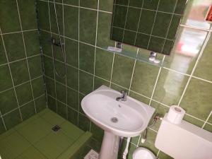 穆里吉奥尔Pensiunea La Tavi的绿色瓷砖浴室设有水槽和淋浴