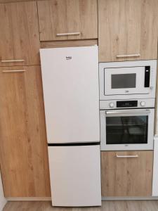 诺哈Playa Home Noja的厨房配有白色冰箱和微波炉