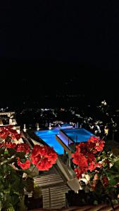 吉诺卡斯特KERCULLA Resort的享有游泳池的夜间美景,并种植了红色的鲜花