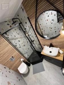 卡托维兹Green Hill Apartments Katowice的一间带水槽和镜子的浴室