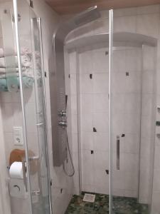 Familienfreundlich Wohnen im Miriquitdi Erzgebirge的带淋浴的浴室和玻璃门