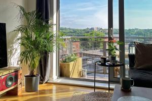 谢菲尔德Spacious Private Flat in Sheffield City Centre的客厅设有植物大窗户