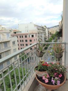 雅典Central Museum Comfort Appartment的阳台,种植了两株盆栽植物,部分建筑
