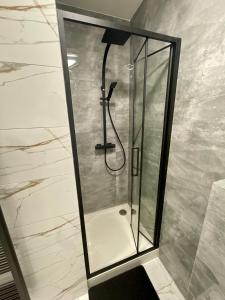奥帕瓦Central Apartments Opava的浴室里设有玻璃门淋浴