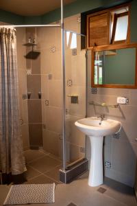 CarhuazFleur Lodge的一间带水槽和淋浴的浴室