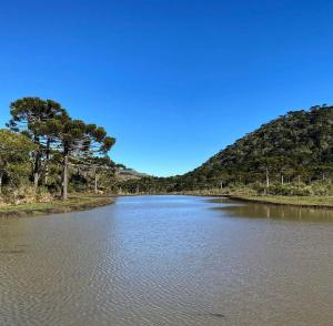 乌鲁比西Parque Nacional EcoResort的山边有树木的河流