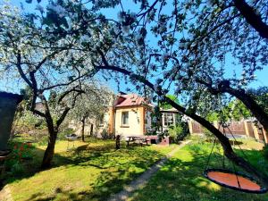 里加Cozy private house with a yard & parking的院子里的房子,有野餐桌和树木