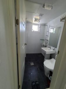 济州市Cozy House & Tour的一间带卫生间和水槽的浴室