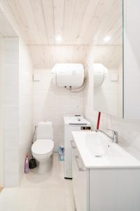 派德Posti studio apartment的白色的浴室设有卫生间和水槽。