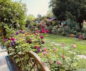 美茵河畔哈瑙GARDEN VIEW near FRANKFURT ----- STAY LIKE AT HOME -----的花园,花园的木栅栏上放着玫瑰