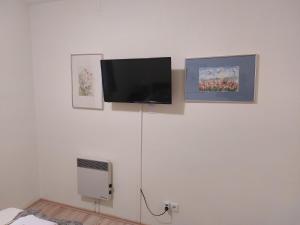 Rohrbach bei MattersburgFerienwohnung Kutrowatz的白色墙壁上的平面电视,配有图片