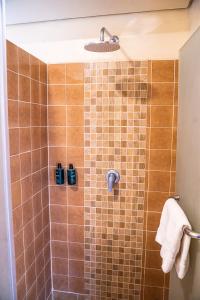 TsavoSalt Lick Safari Lodge的浴室设有棕色瓷砖和淋浴。