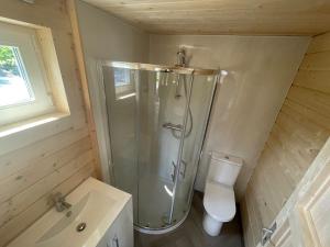 丁格尔丁格尔米尔敦酒店的带淋浴和卫生间的浴室