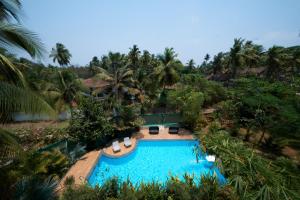 OxelFig House Anjuna-Chapora Road , Siolim 1BHK Suite的享有带椅子和棕榈树的游泳池的顶部景致