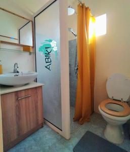 阿尔比恩Maya-Abiki Mauritius的浴室配有卫生间、盥洗盆和淋浴。