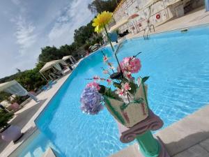 盖奥斯Paco's Resort Holiday Flats的花瓶,花瓶坐在游泳池旁
