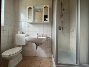 塞博登Feistritzer的浴室配有卫生间、盥洗盆和淋浴。