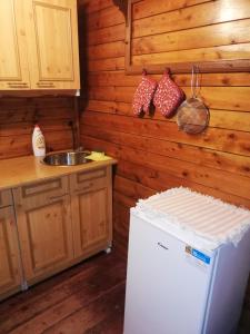 克日沃克拉特Chatrč pod Babou的厨房配有冰箱和水槽
