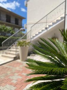 苏佩塔尔Karina Apartments的通往棕榈树建筑的楼梯
