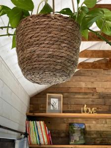 维尔雅尔姆Tiny Paradis的挂在图书馆天花板上的盆栽植物