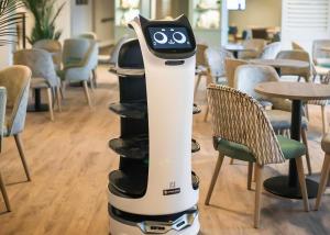 米尔福德昂西Shorefield Country Park的机器人坐在一个椅子房间里