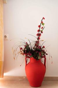 莱夫基米Villa Georgia的红色花瓶,里面装有植物