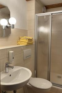 爱尔福特Hotel Garni Melchendorf的浴室配有卫生间、盥洗盆和淋浴。