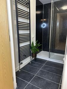 阿伯丁2 bed city centre executive apartment的浴室设有玻璃淋浴间和盆栽植物