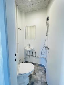腓特烈港aday - Luminous apartment with 2 bedrooms的一间带卫生间和水槽的浴室